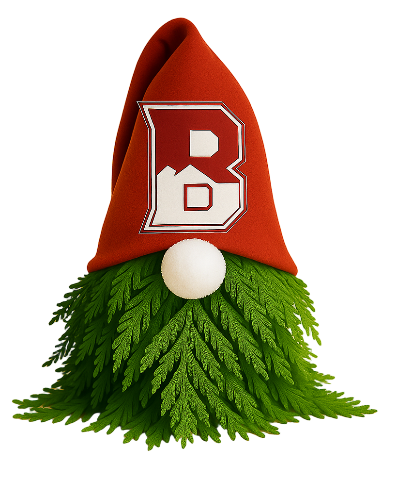 School Spirit Gnomes